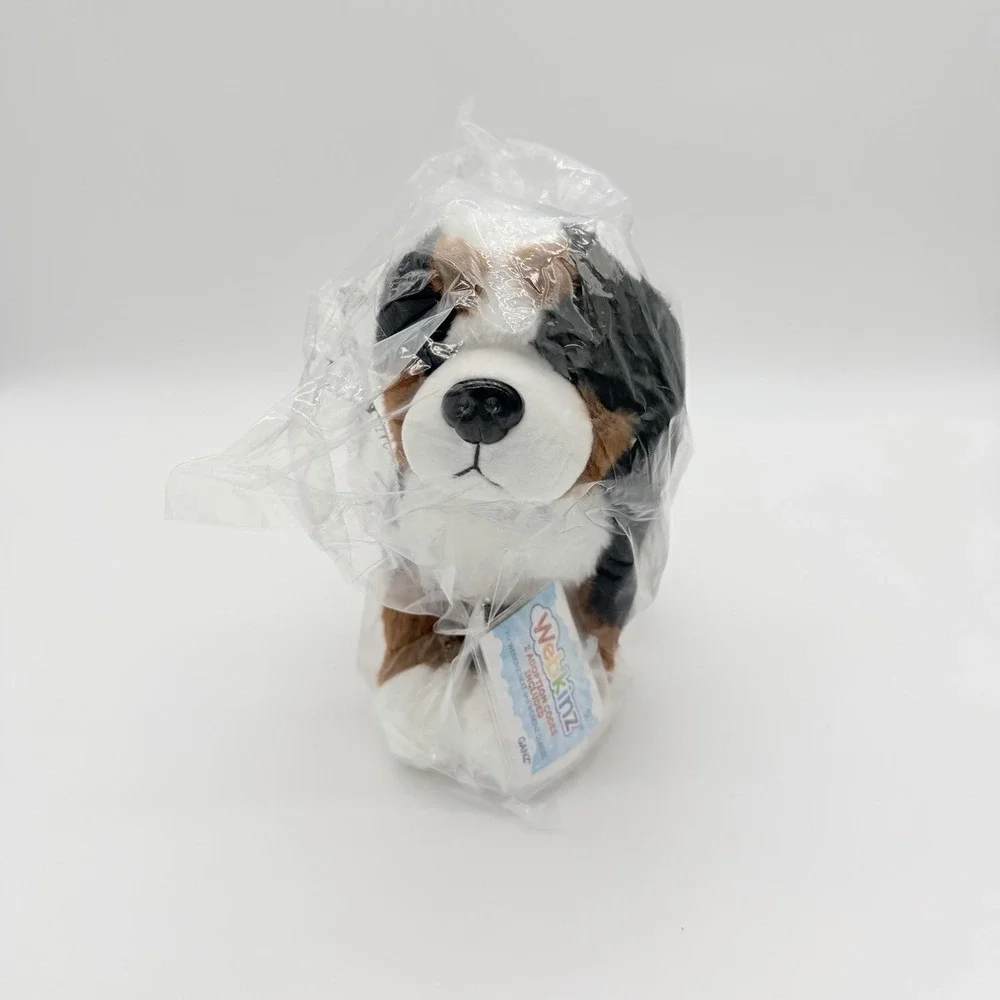 GANZ these webkinz